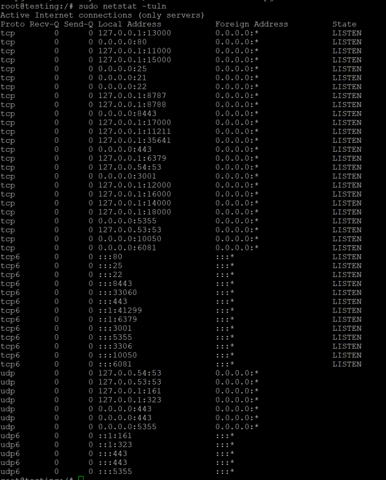 Offene und abhörende Ports unter Linux mit netstat und ss überprüfen ⋆ ALexHost SRL