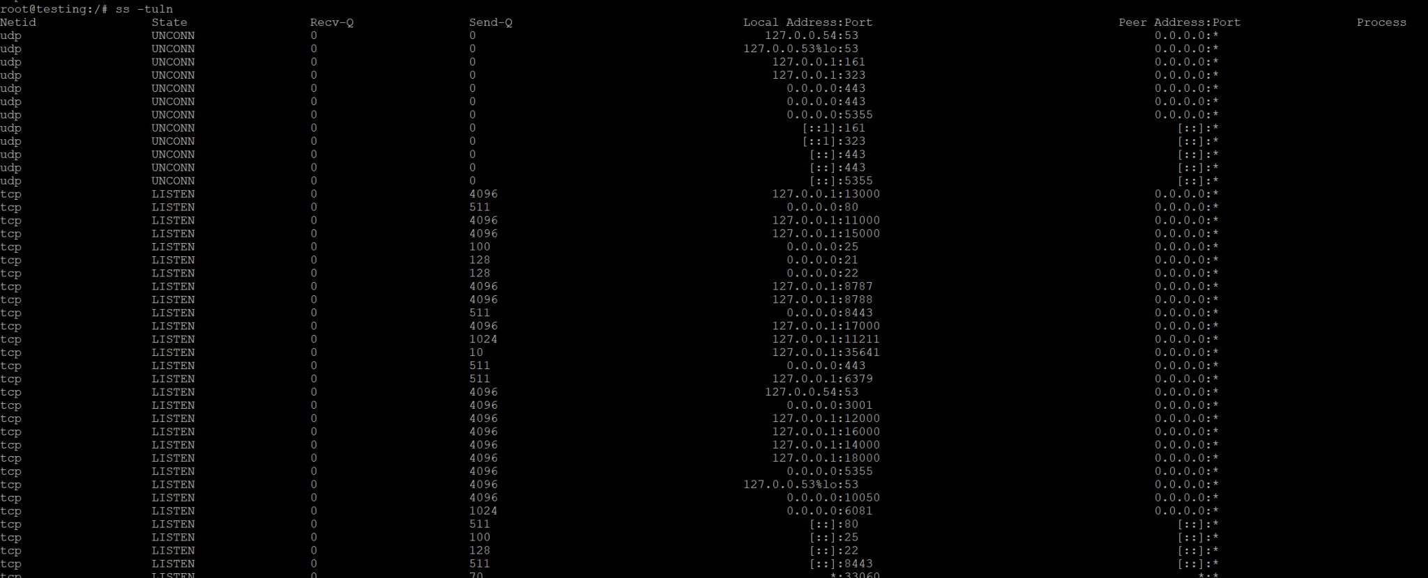 Offene und abhörende Ports unter Linux mit netstat und ss überprüfen ⋆ ALexHost SRL
