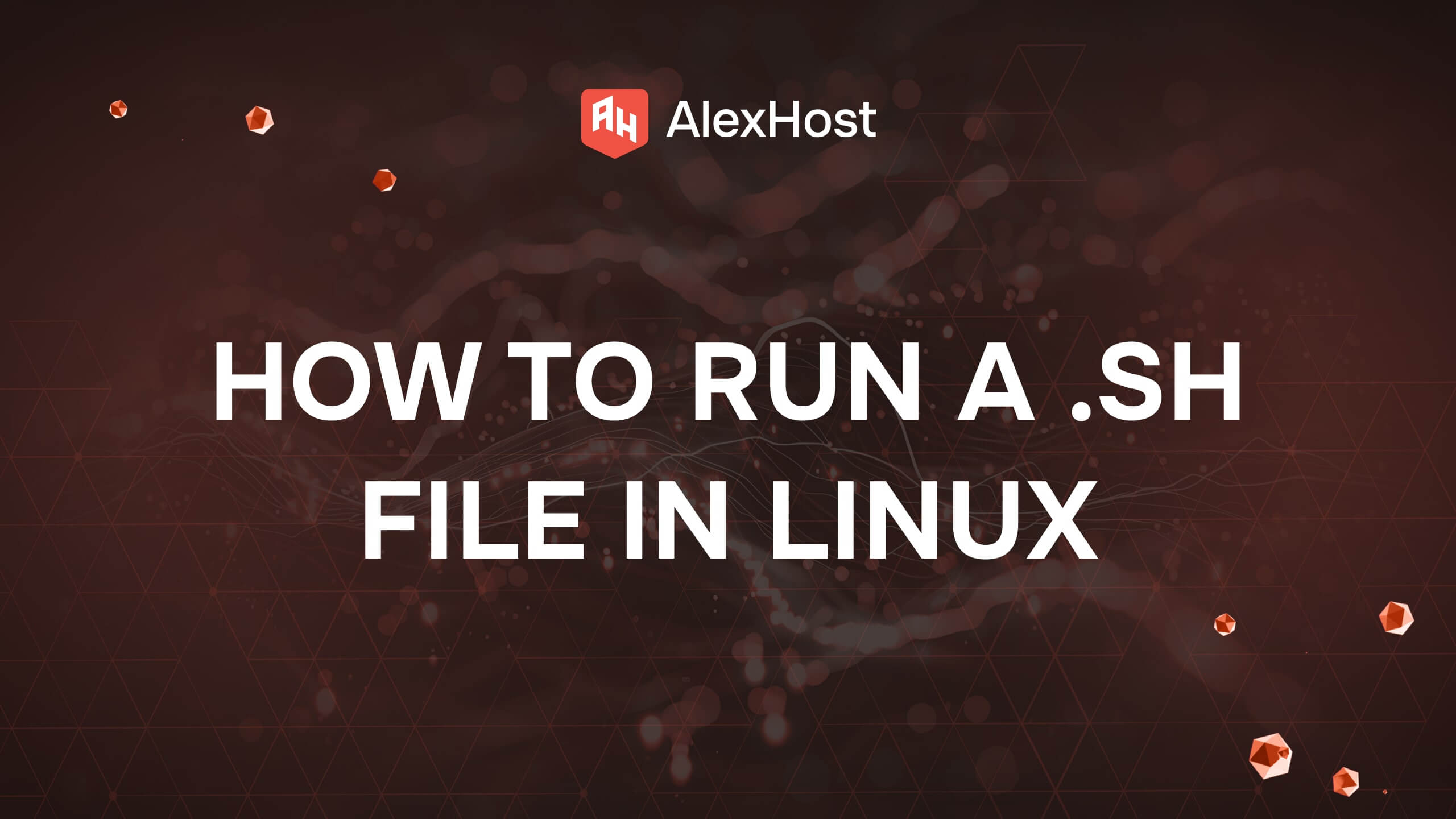How to Run a .sh File in Linux