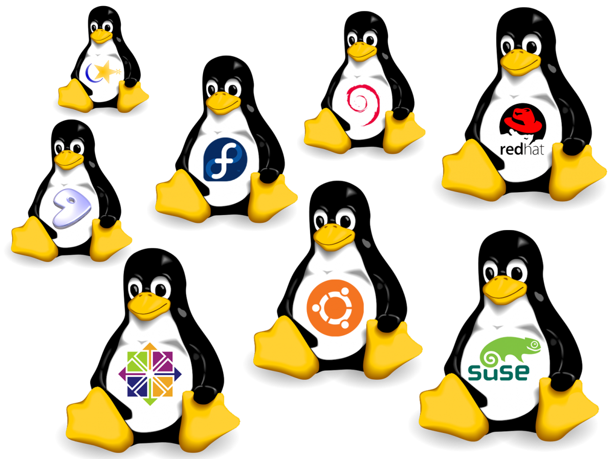 linux-choice