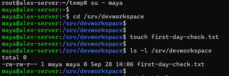 Maya entering the shared workspace and creating a test file
